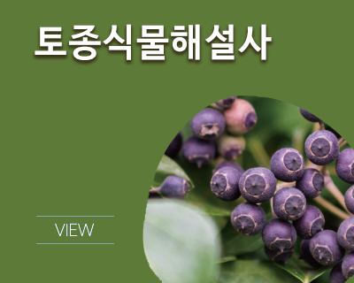 토종식물해설사